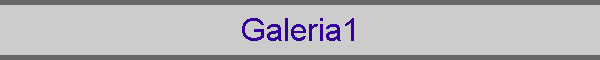 Galeria1