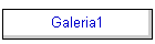 Galeria1