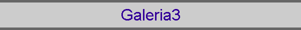 Galeria3