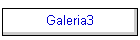 Galeria3